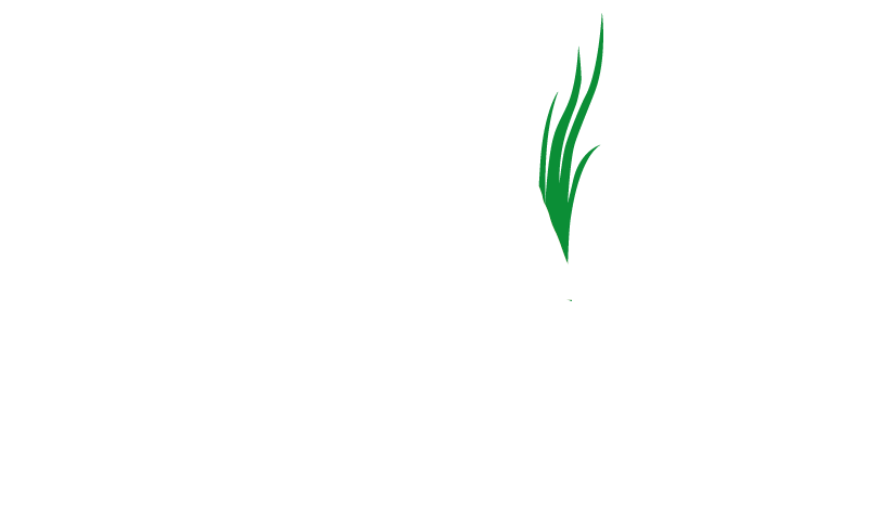 teXga Farms